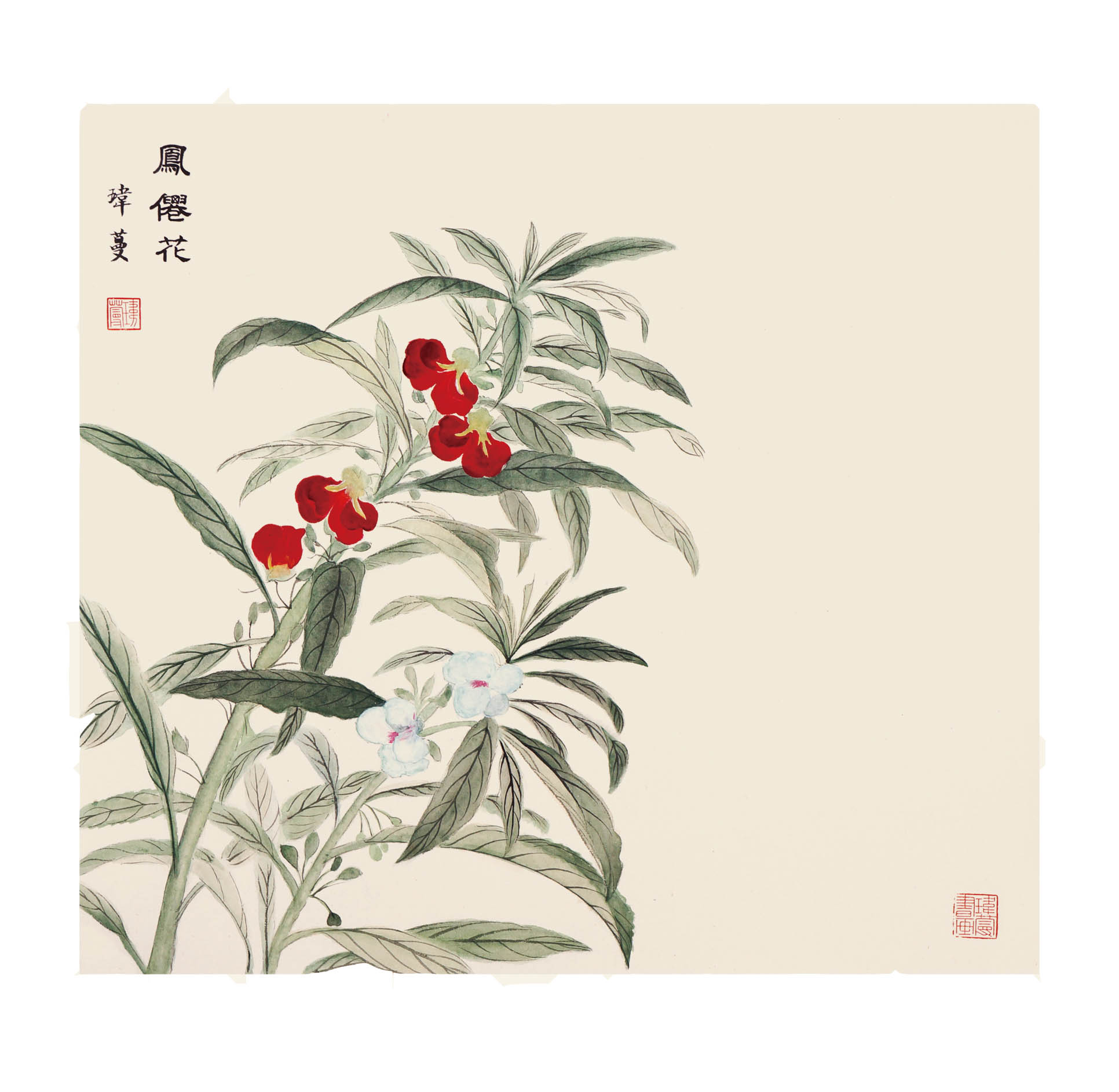艺术品 国画 纸面国画 孙玮蔓 凤仙花  关注0 #art 8447 艺术家:孙玮